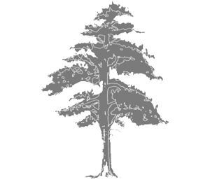 Baum von Baumdienst Krämer Grafik